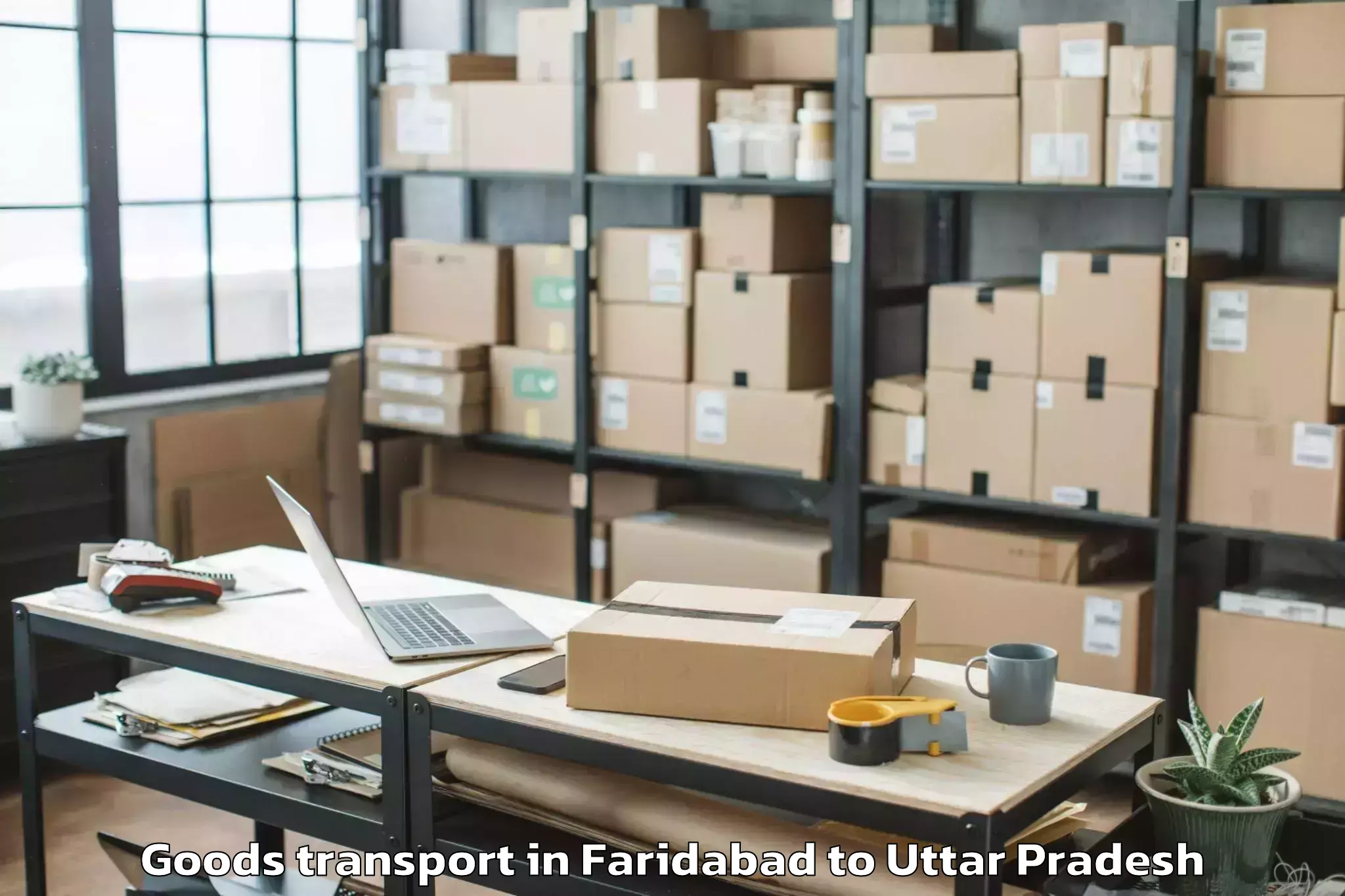 Quality Faridabad to Gursahaiganj Goods Transport